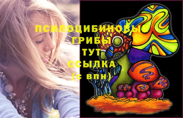 меф Алексин